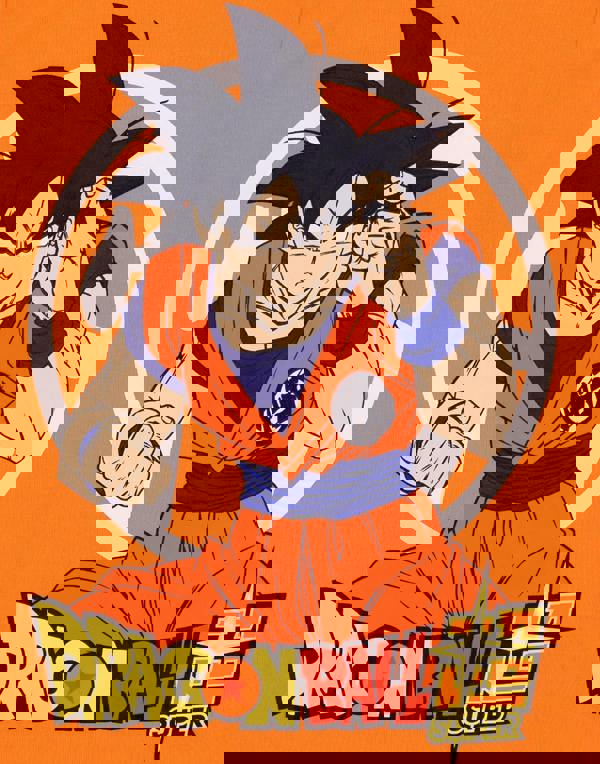 Dragon Ball Z Unisex Kids Orange Goku Short Sleeve Short Leg Pyjama Set