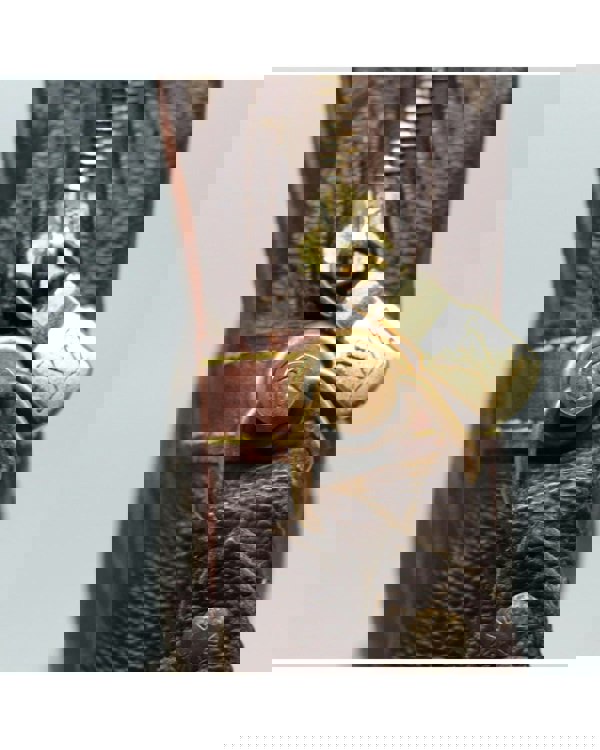 186342831.jpg