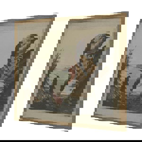 Hill Interiors Flora & Fauna Collection Pochards Beaded Linen Framed Wall Art - Brown/White/Black - 