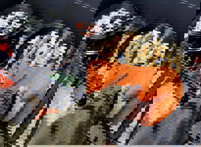 Petromax Set of 2 Aramid Pro 300 Potholders