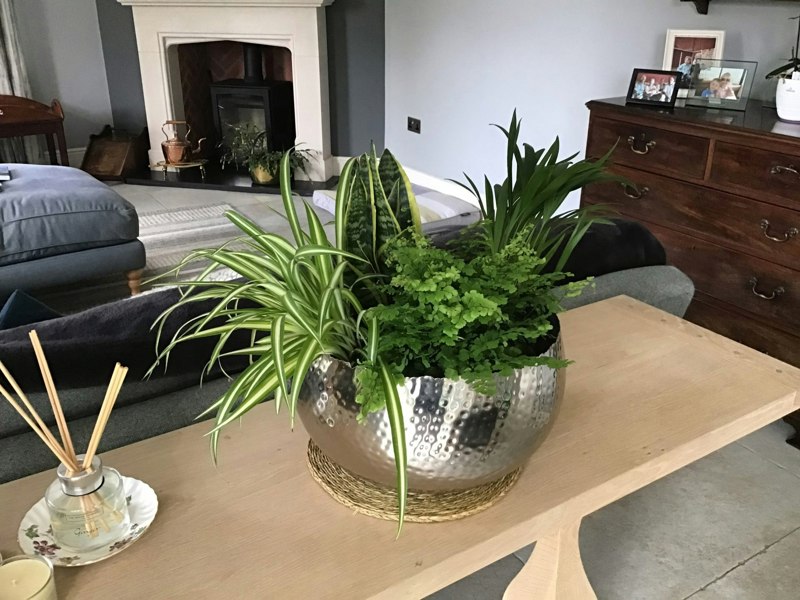 Leaf Large Metal Planter Bowl 32 x 20cm Hammered Silver Colour - Curvy Edge