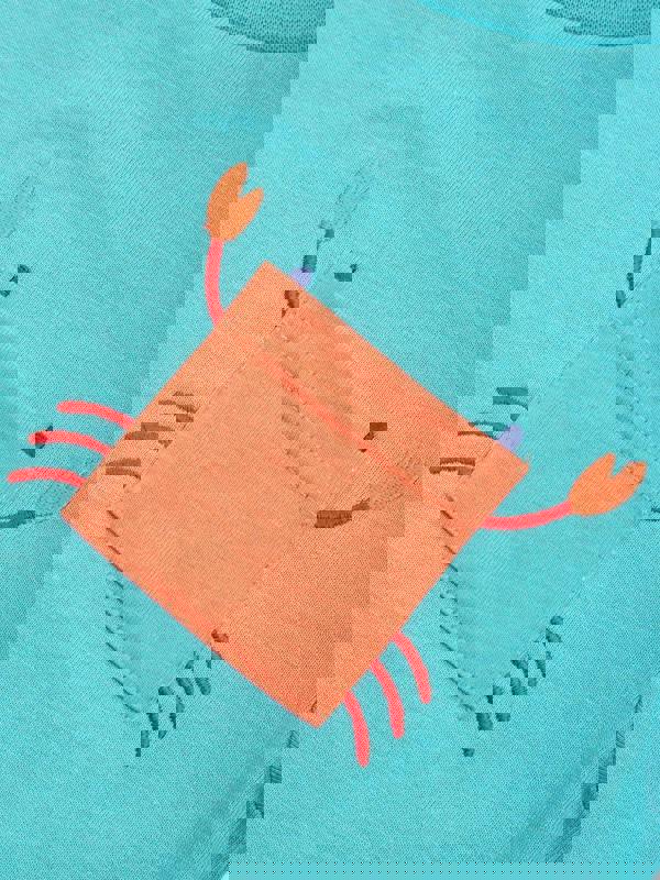 Kite Boys Organic Funky Crab T-Shirt