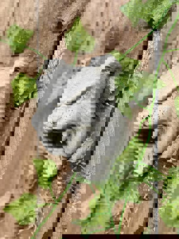 Bulldog Head Stone Wall Plaque