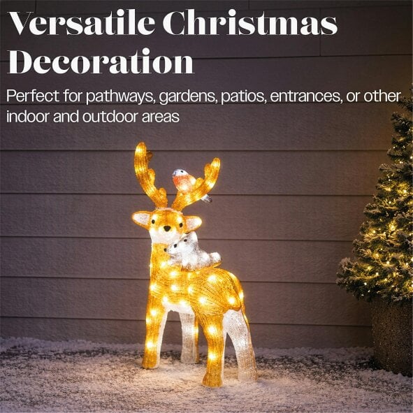 Scotts of Stow Xmas Haus Acrylic Deer with 80 LEDs and Timer