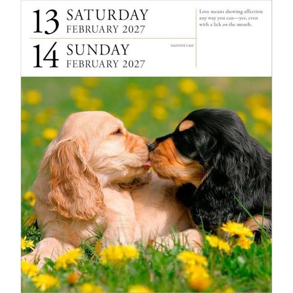 Dog Gallery Refill Pack 2027, Desk Calendars, Day To View, Dogs, Gift