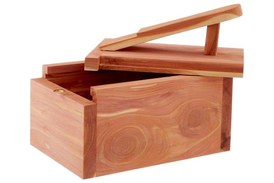 Maison by Premier The Dandy Sparrow Cedar Wood Shoe Shine Box