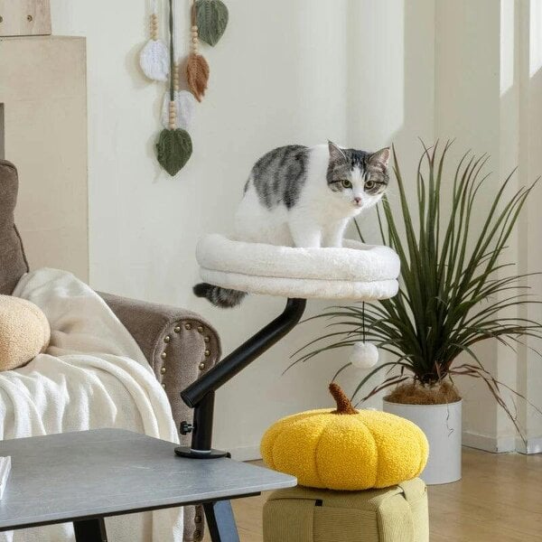 Cat Desk Bed, Cat Hammock 360° Rotatable Adjustable for Window, Table, Work, Cream White - Cream