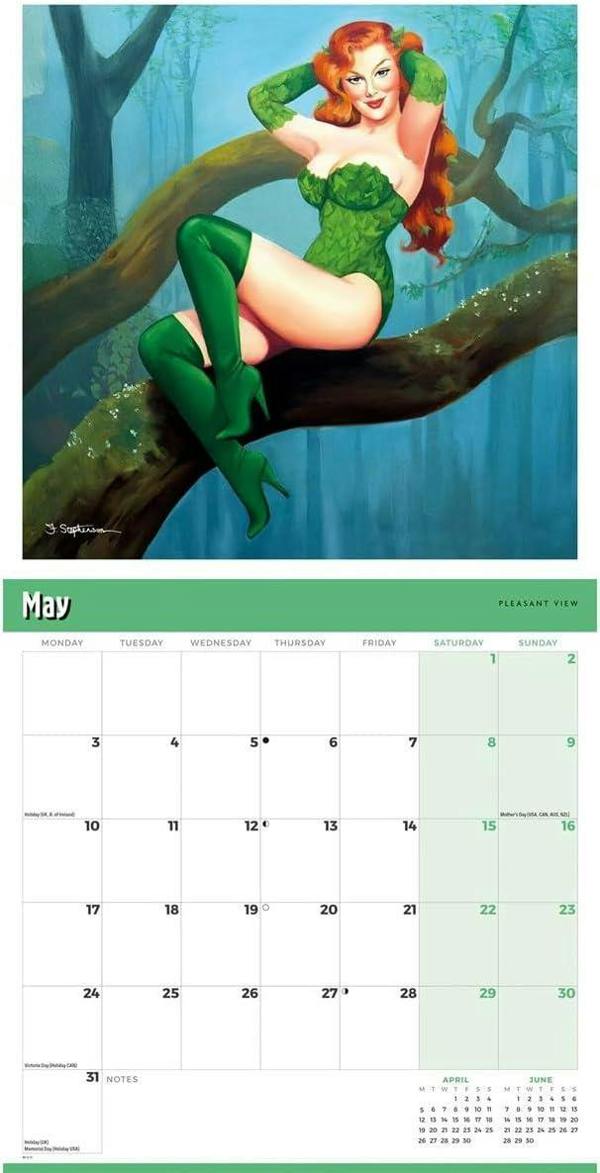 Pin Ups Calendar 2027 (vintage glamour illustrations by Fiona Stephenson)