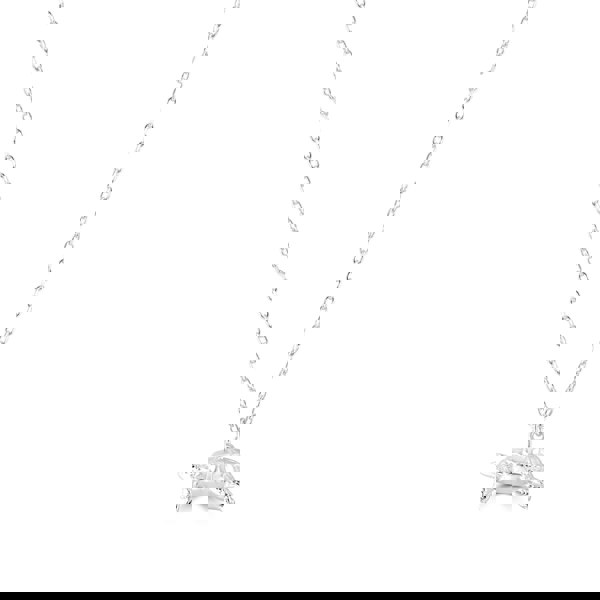 Tortoise Silver Necklace - Personalised - MYLEE London
