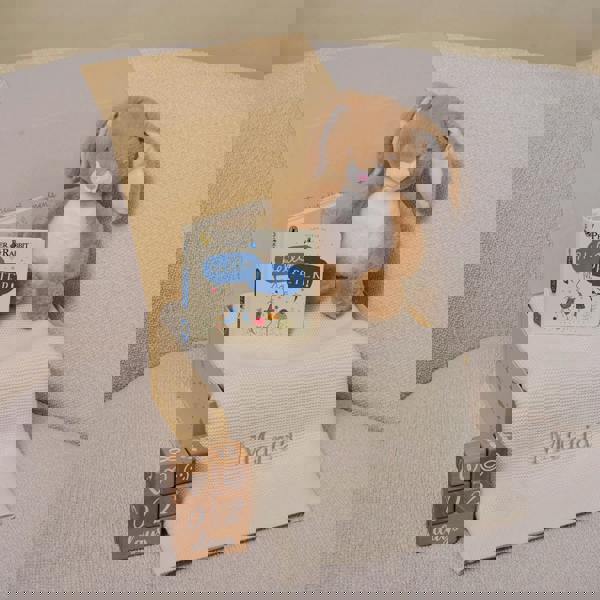 The Baby Gifting Company HOP & LEARN GIFT SET