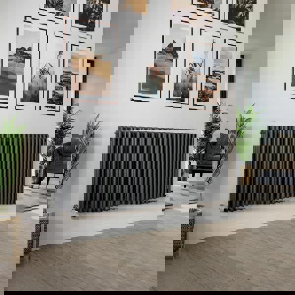 Agadon Kylo 3 Column Traditional Radiator