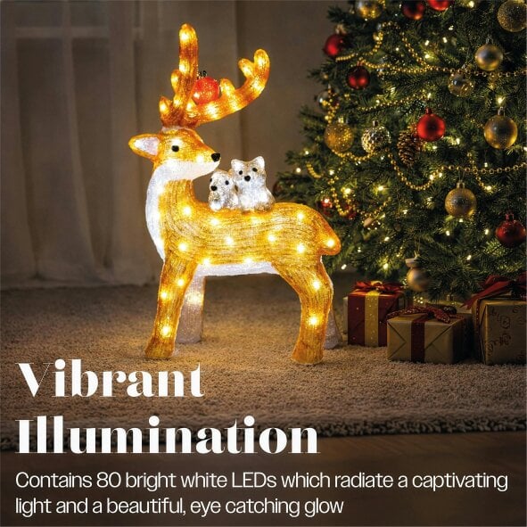 Scotts of Stow Xmas Haus Acrylic Deer with 80 LEDs and Timer