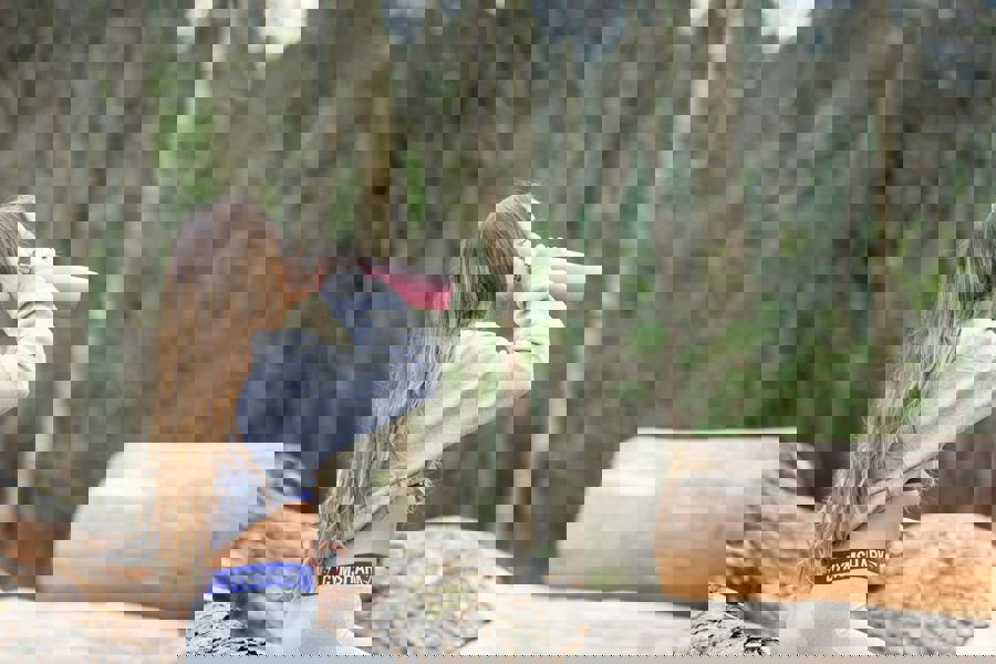 Built New York Built 500 ml Perfect Seal Double Walled Stainless Steel Water Bottle Pink