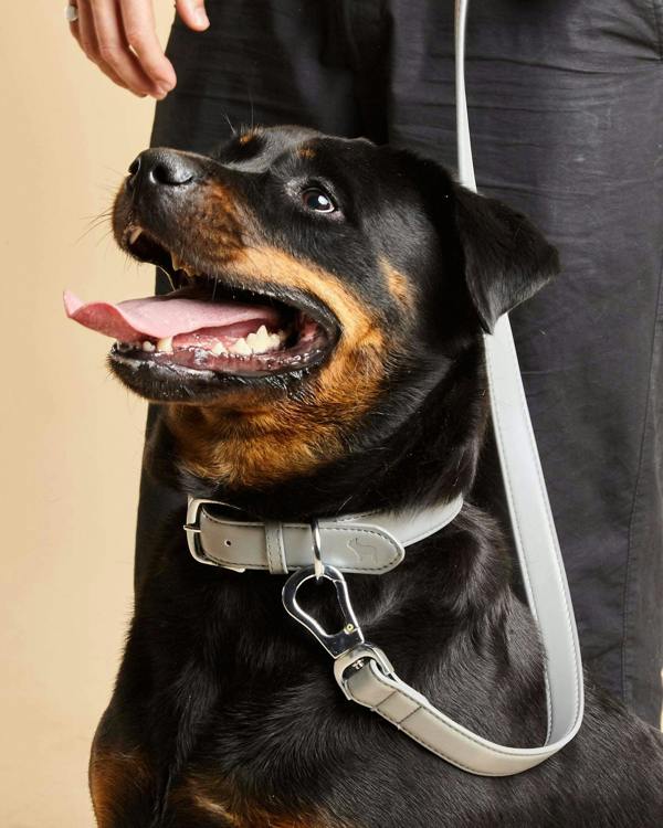 Modern Grey Dog Lead in Vegan Leather with Matching Collar