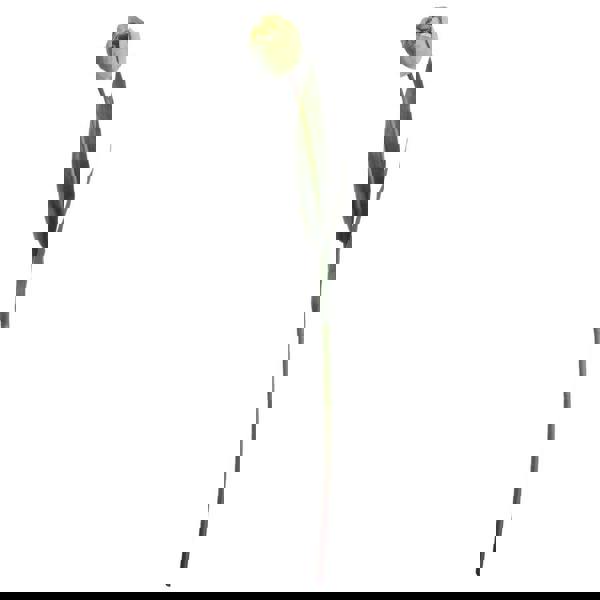 Hill Interiors Artificial Green Tulip Plant - Green - 