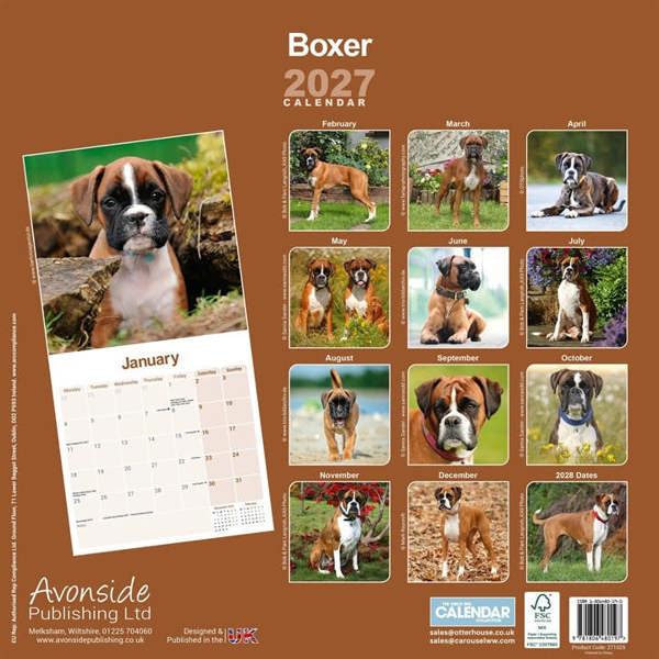 Boxer Calendar 2027, Wall Calendars, Month To View, Dogs, Gift