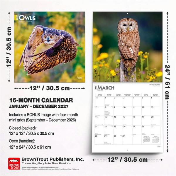 Owls Calendar 2027, Wall Calendars, Month To View, Animals, Gift