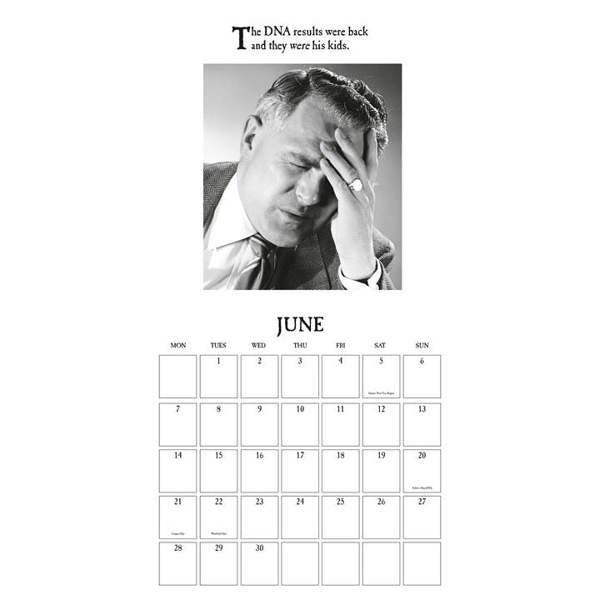 On-The-Ceiling Calendar 2027, Wall Calendars, Month To View, Humour, Gift