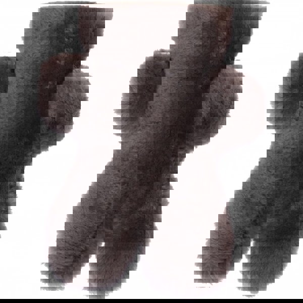 Fenland Water Bottle: Teddy