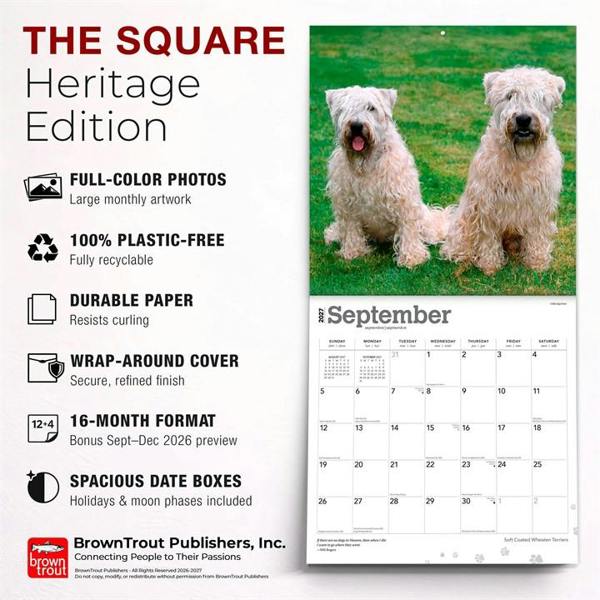 Soft Coated Wheaten Terriers Calendars 2027, Wall Calendars, Month To View, Dogs, Gift