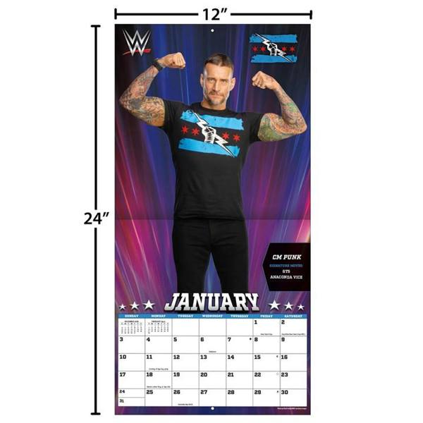 WWE Superstars Calendar 2027, Wall Calendars, Month To View, Sports, Gift