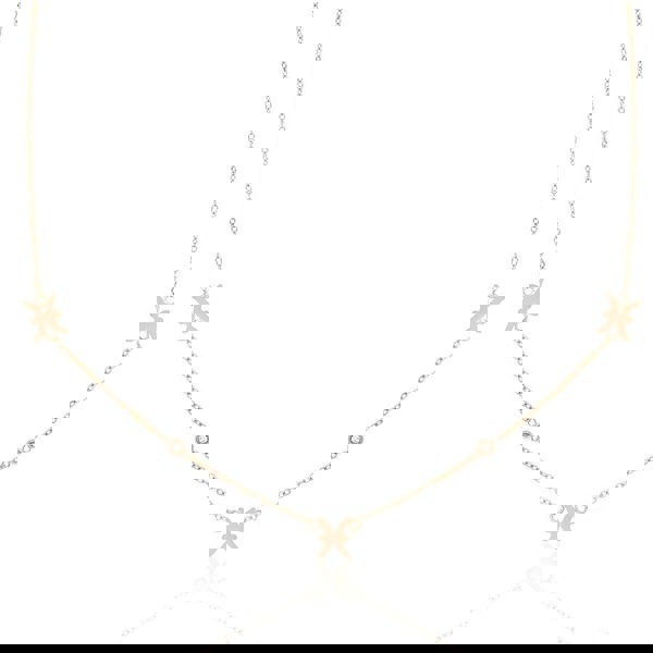 Say It With Pisces Necklace with CZ Stones - Rose Gold Plated