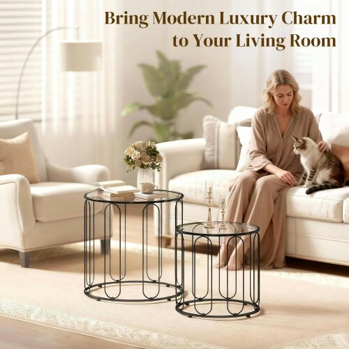 Wyld Haus Roro Metal Black Set Of 2 Elliptical Cut Out Nesting Tables