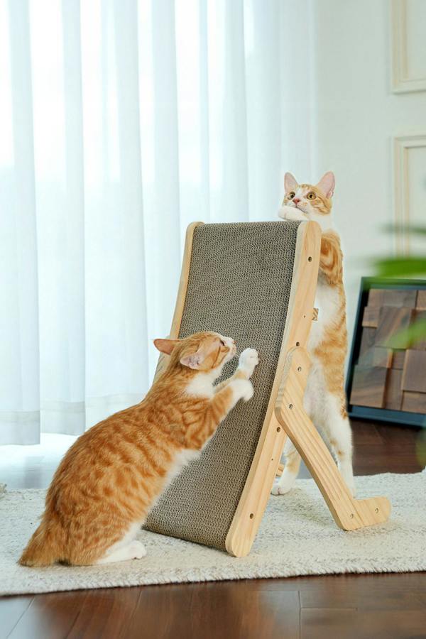 43.5cm x 25cm Versatile Reusable Cat Scratcher Bed