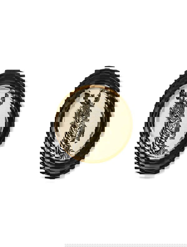 Exceptional Art c1890 Zebra Illustrations in Round Frame - Dark