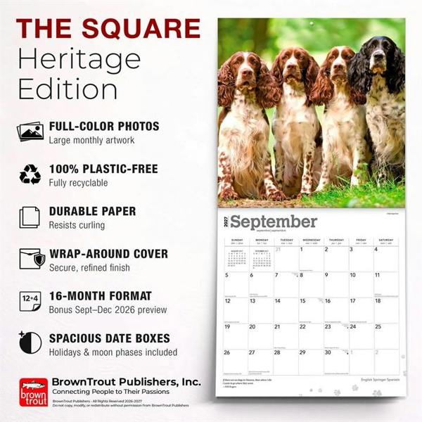 English Springer Spaniels Calendar 2027, Wall Calendars, Month To View, Dogs, Gift