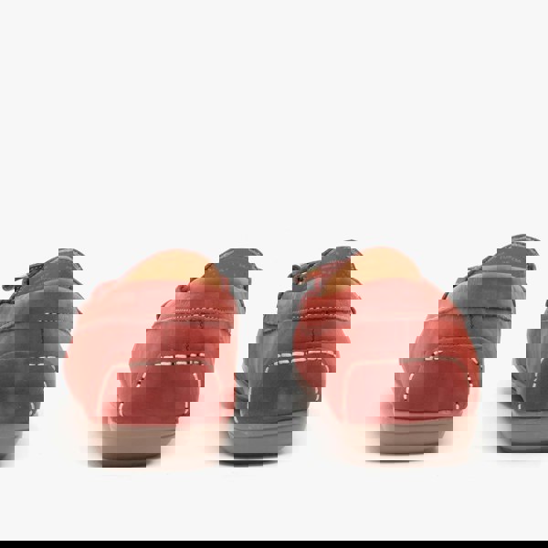 1582556578-95773400.jpg