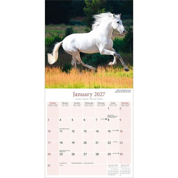 Horses Calendar 2027, Wall Calendars, Month To View, Animals, Gift