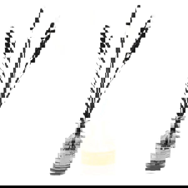 CAHM Wood Sage & Sea Salt Reed Diffuser - Black