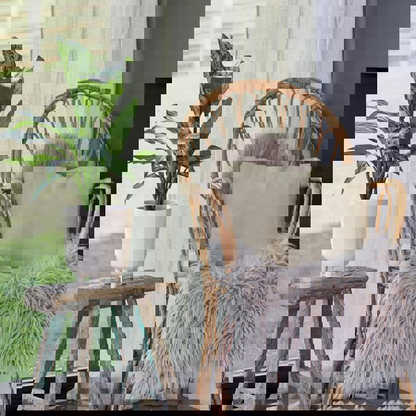 #color_white