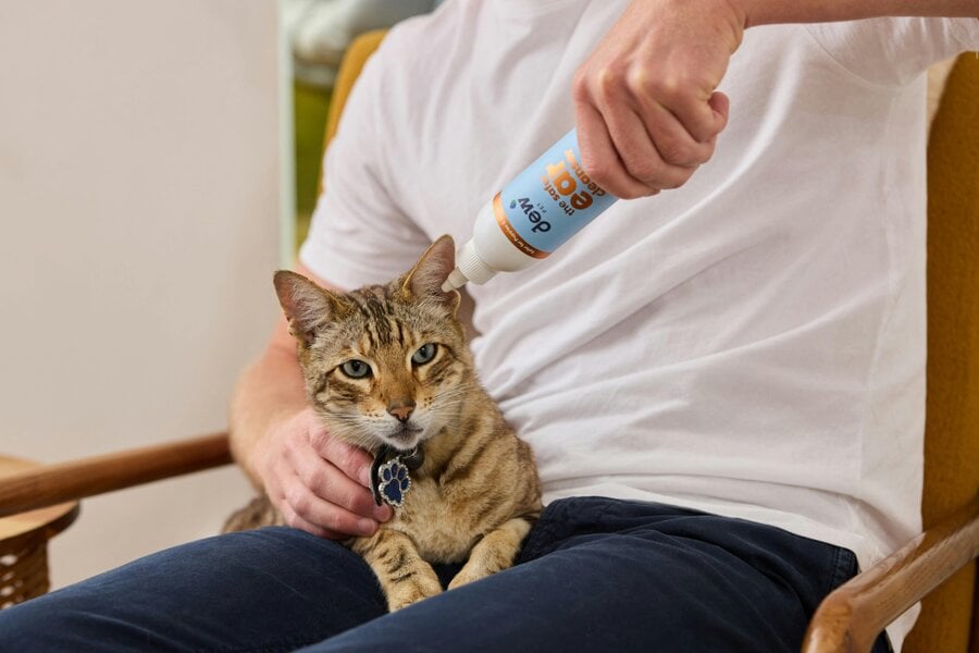 Dew Safer Pet Ear Cleanser