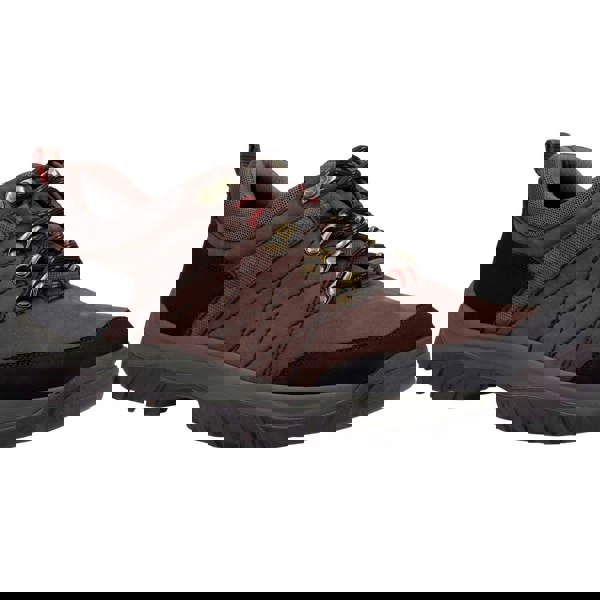 Cotswold Toddington Men's Shoes in Brown