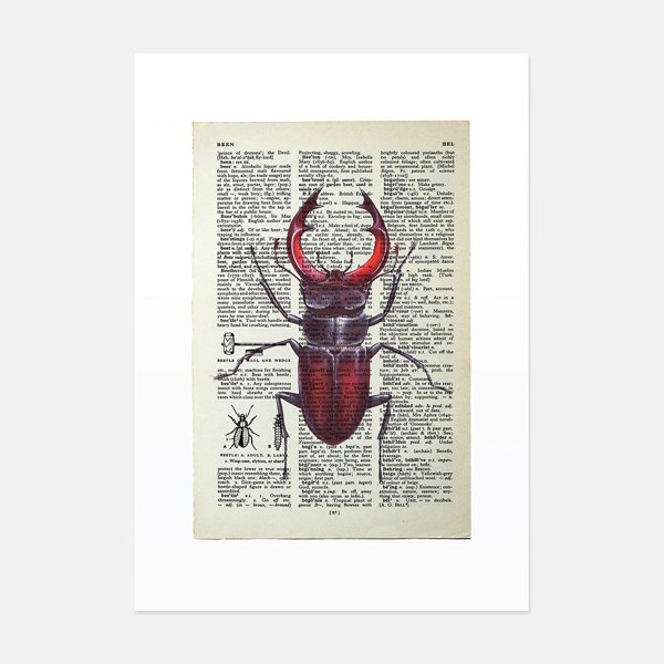 Hands & Hearts Beetle vintage book page art print