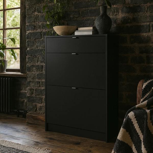 Wyld Haus Prague Black Shoe Cabinet 2 Flip Down Doors 1 Drawer