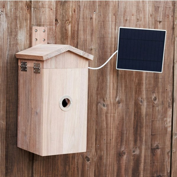 Callow Retail Walnut smart bird house and Camera with Solar Panel