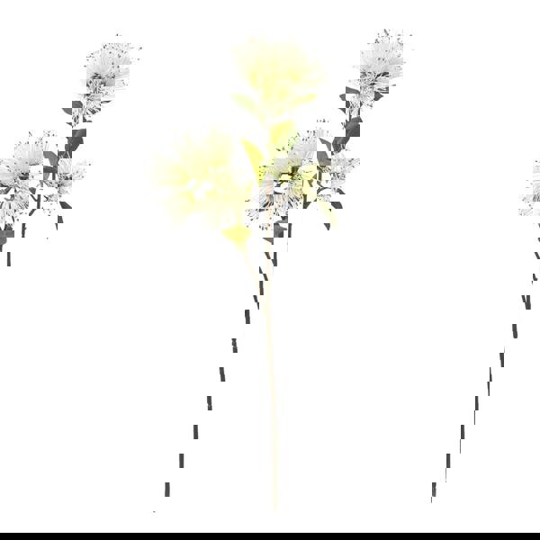 Hill Interiors Protea Nitida Stem Artificial Flower Spray - Cream - 