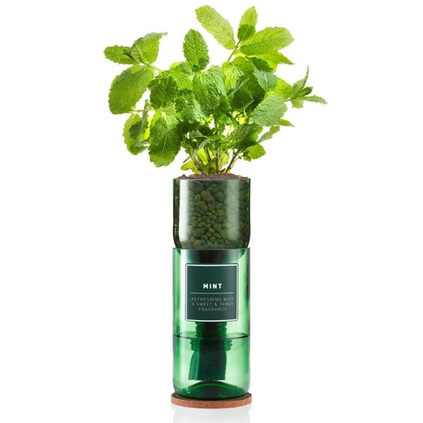 Urban Farm-It Hydro-Herb Mint Kit