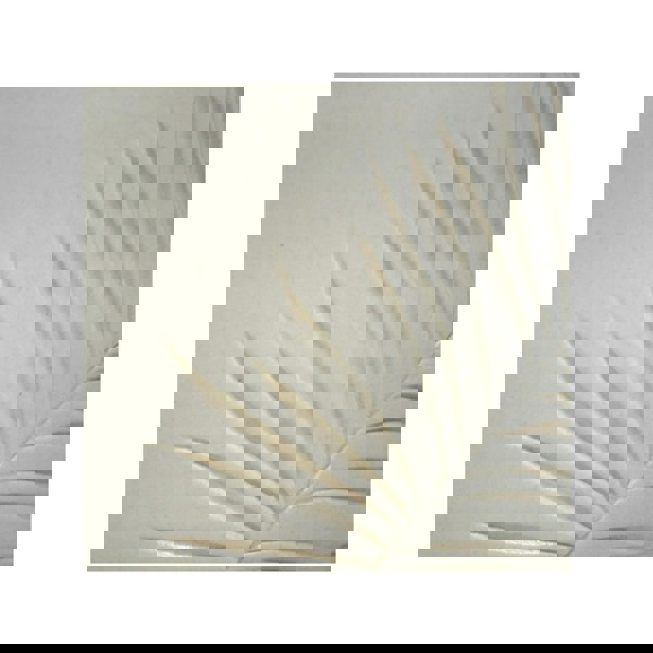 #color_ivory