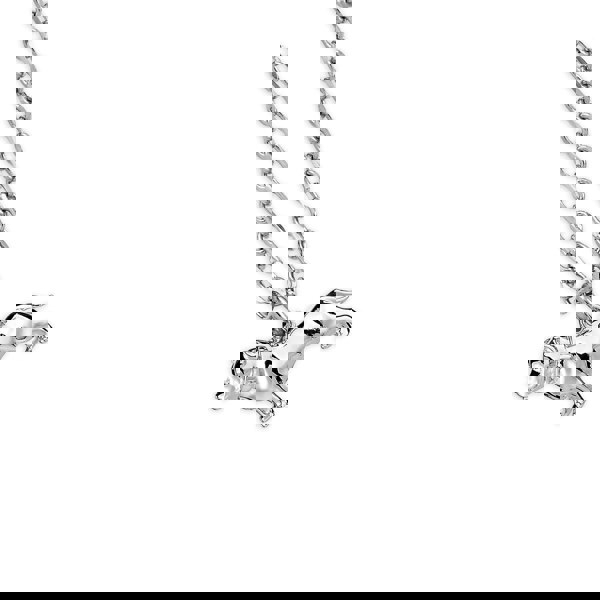 Pitbull Silver Necklace - Personalised - MYLEE London
