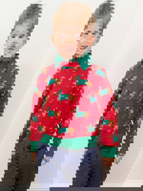 Kite Boys Organic Daxie Dog Jumper