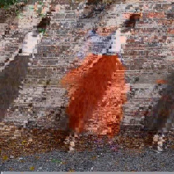 Young girl against wall