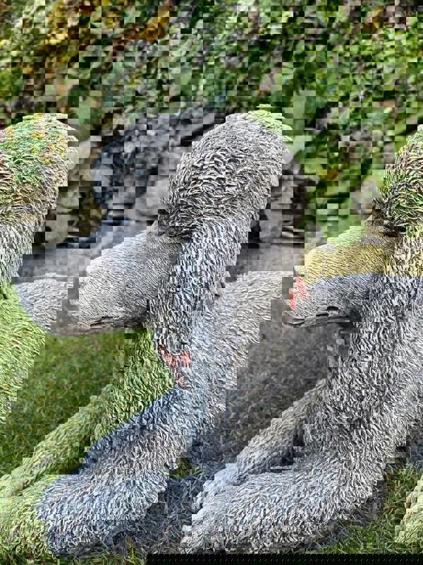 Stunning Stone Cast Laying Poodle Statue