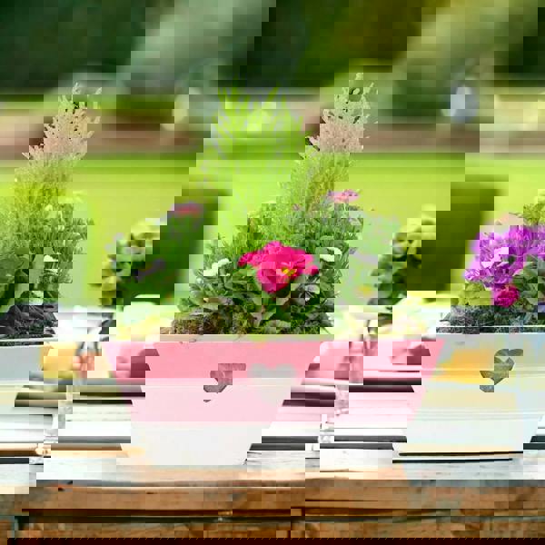 Mother’s Day Pink Wooden Trough