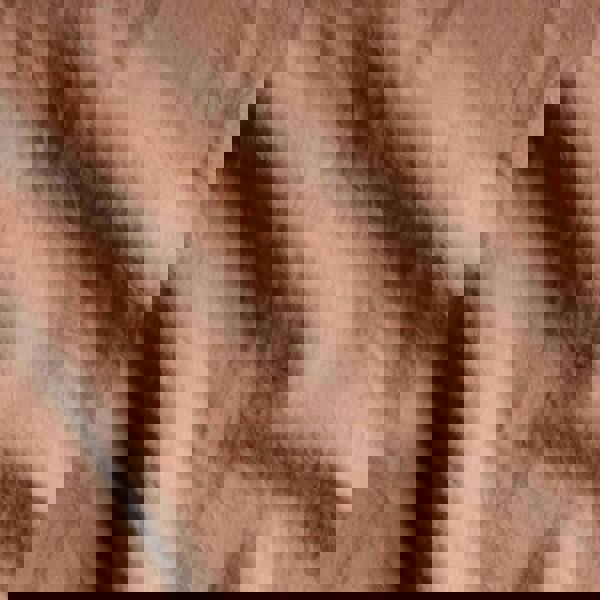 Bedable Percale Duvet Cover Set