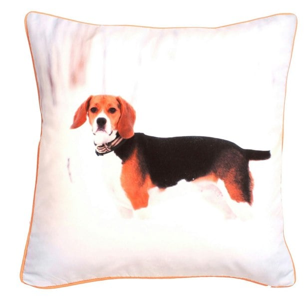 Velosso Adorable Bold Print Animal Cushion - 43cm x 43cm