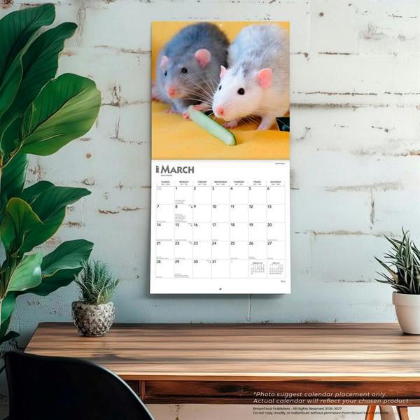 Rats Calendar 2027, Wall Calendars, Month To View, Animals, Gift